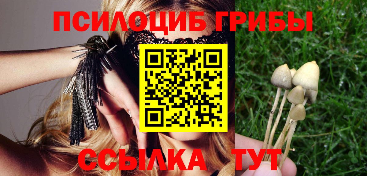 Первоуральск  Галлюциногенные грибы MAGIC MUSHROOMS  Вход с VPN 