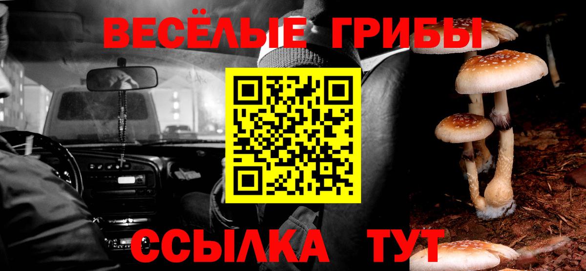 Галлюциногенные грибы мицелий Первоуральск